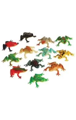 Bunte Party Frösche