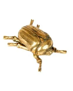 Goldfarbener Skarabäus Käfer Wandgestaltung 15cm