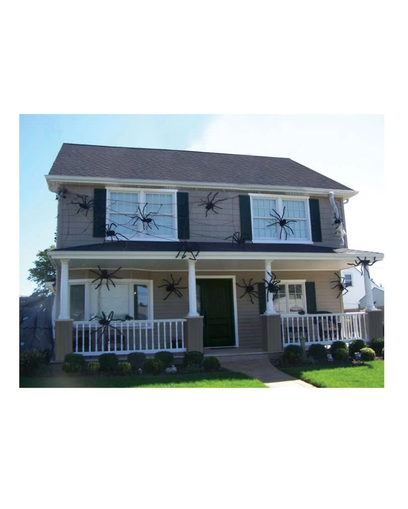 Schwarze Riesenspinne – Bild 2