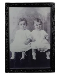 Zombie Zwillinge Effektbild