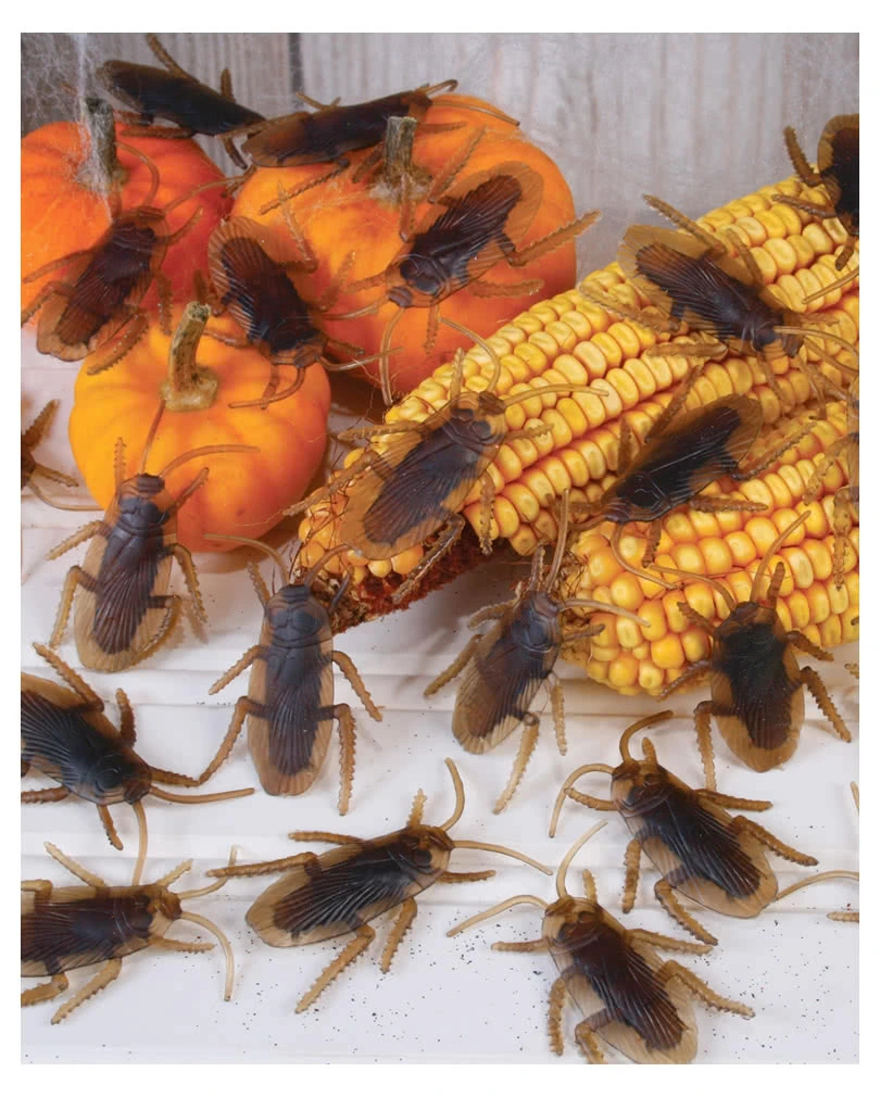 Kakerlaken 40 Stück – Bild 2