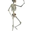 Positionierbares Halloween Skelett 160cm