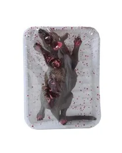 Blutige Ratte In Frischhalte Folie Als Gruseldeko